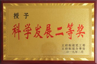 科學(xué)發(fā)展二等獎(jiǎng)